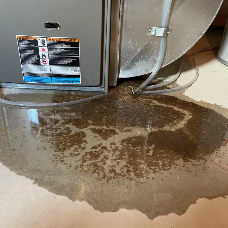 Appliance Leak Cleanup in Sabina, OH