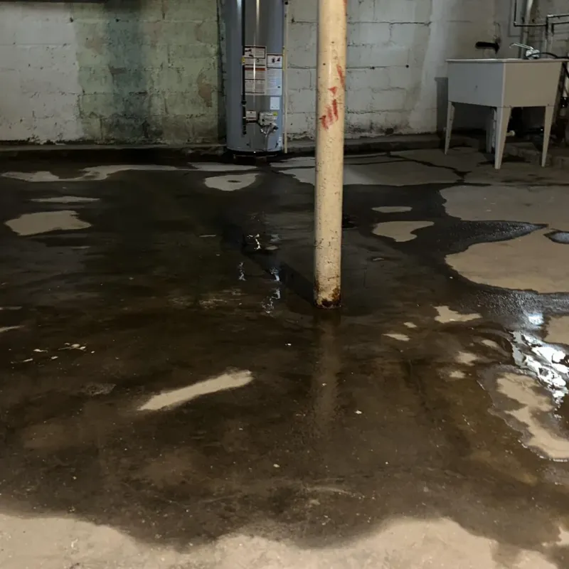 Emergency Water Extraction And Removal in Sabina, OH